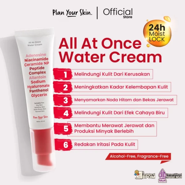 Plan Your Skin All At Once Water Cream Moisturizer